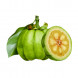 Obesity, Slimming thumbnail